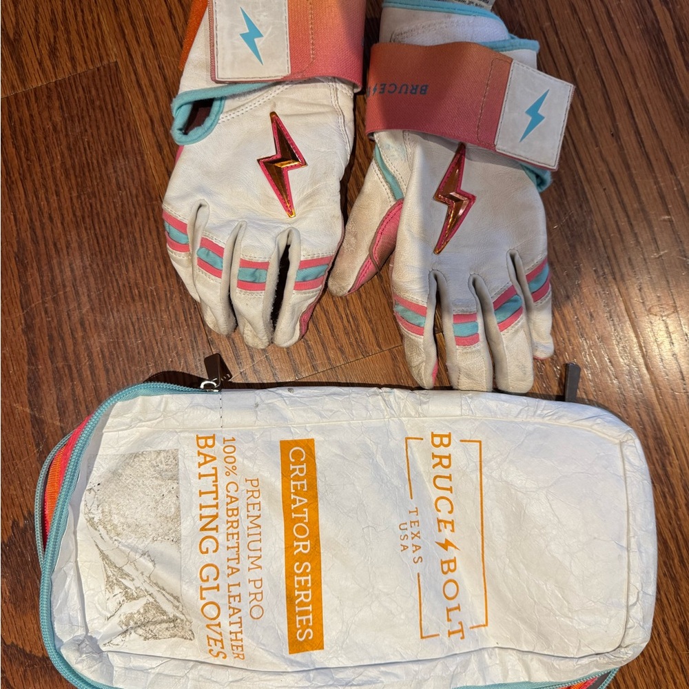 Bruce Bolt Batting Gloves with Case